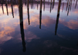 Reflected Sky